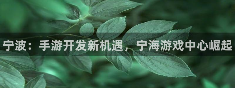 大神pc28开奖查询