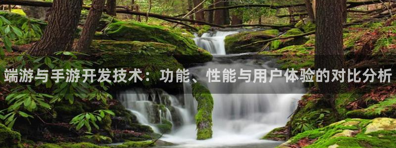 大神网pc28：端游与手游开发技术：功能、性能与用户体验的对