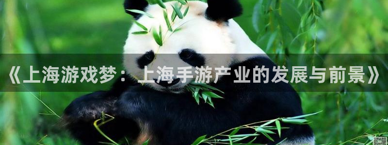 pc28大神预测百分比