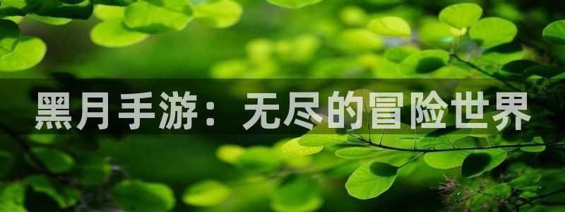 大神吧论坛28算法注册：黑月手游：无尽的冒险世界