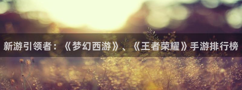 28大神专业版下载地址：新游引领者：《梦幻西游》、《王者荣耀