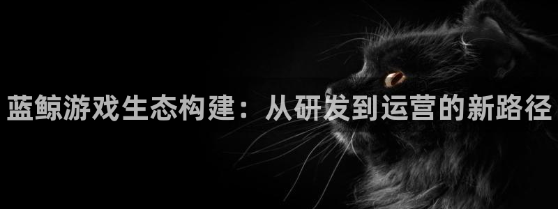 大神2966528：蓝鲸游戏生态构建：从研发到运营的新路径