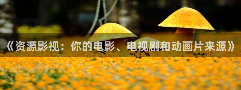 狠狠影院在线观看：《资源影视：你的电影、电视剧和动画片来源》