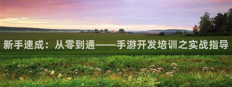 pg国际助手：新手速成：从零到通——手游开发培训之实战指导